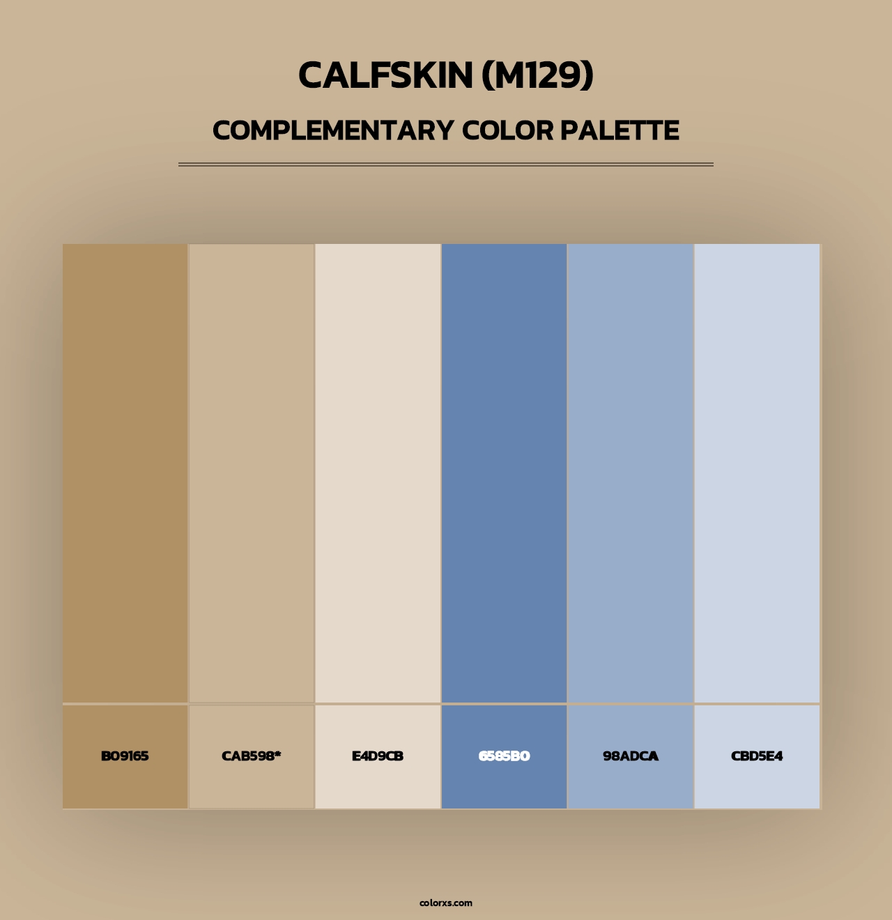 Calfskin (M129) - Complementary Color Palette