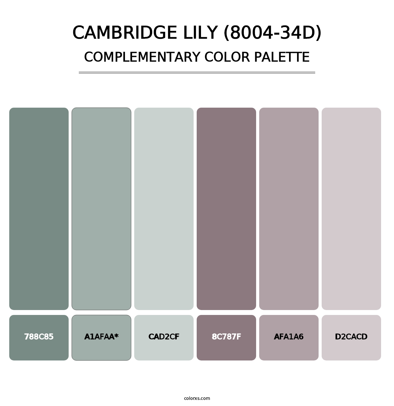 Cambridge Lily (8004-34D) - Complementary Color Palette