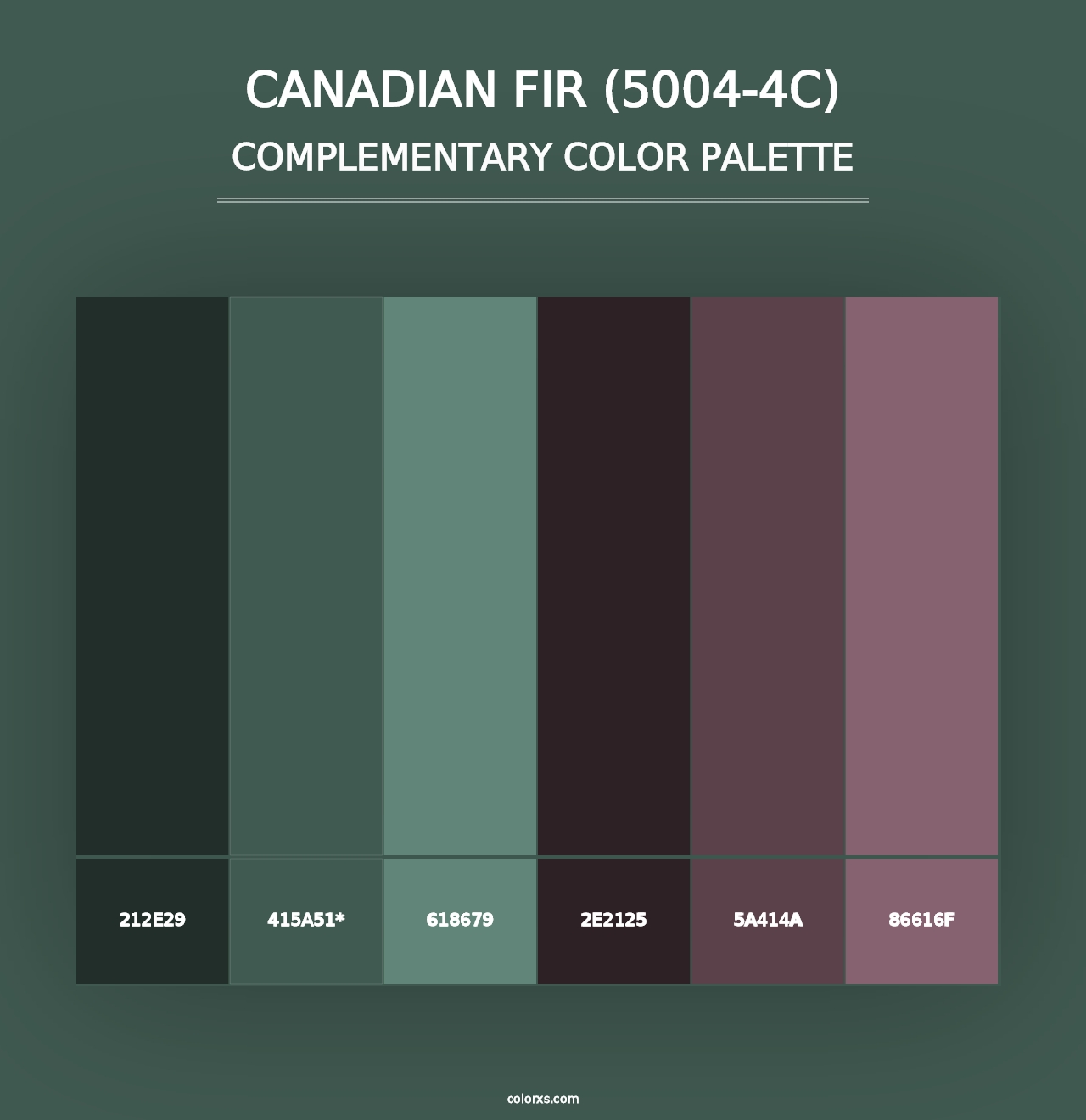 Canadian Fir (5004-4C) - Complementary Color Palette