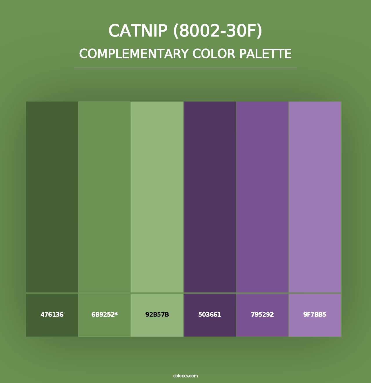 Catnip (8002-30F) - Complementary Color Palette