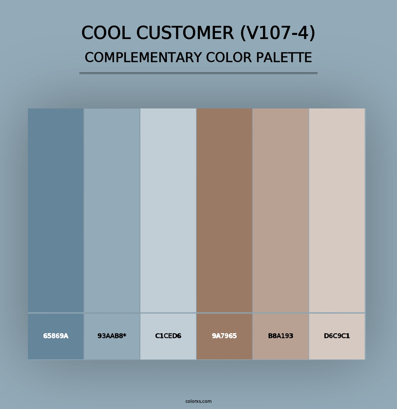 Cool Customer (V107-4) - Complementary Color Palette