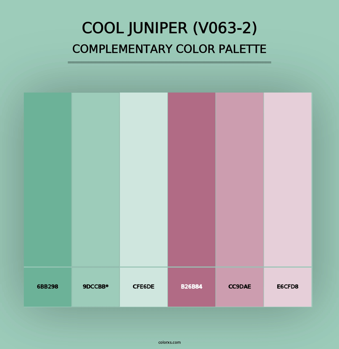 Cool Juniper (V063-2) - Complementary Color Palette