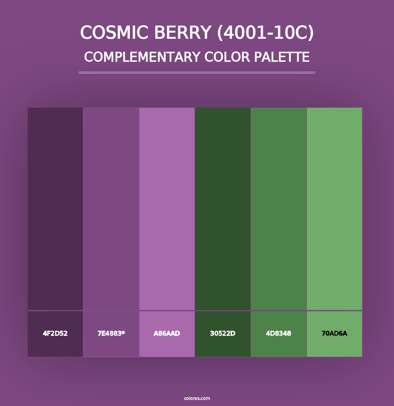 Cosmic Berry (4001-10C) - Complementary Color Palette