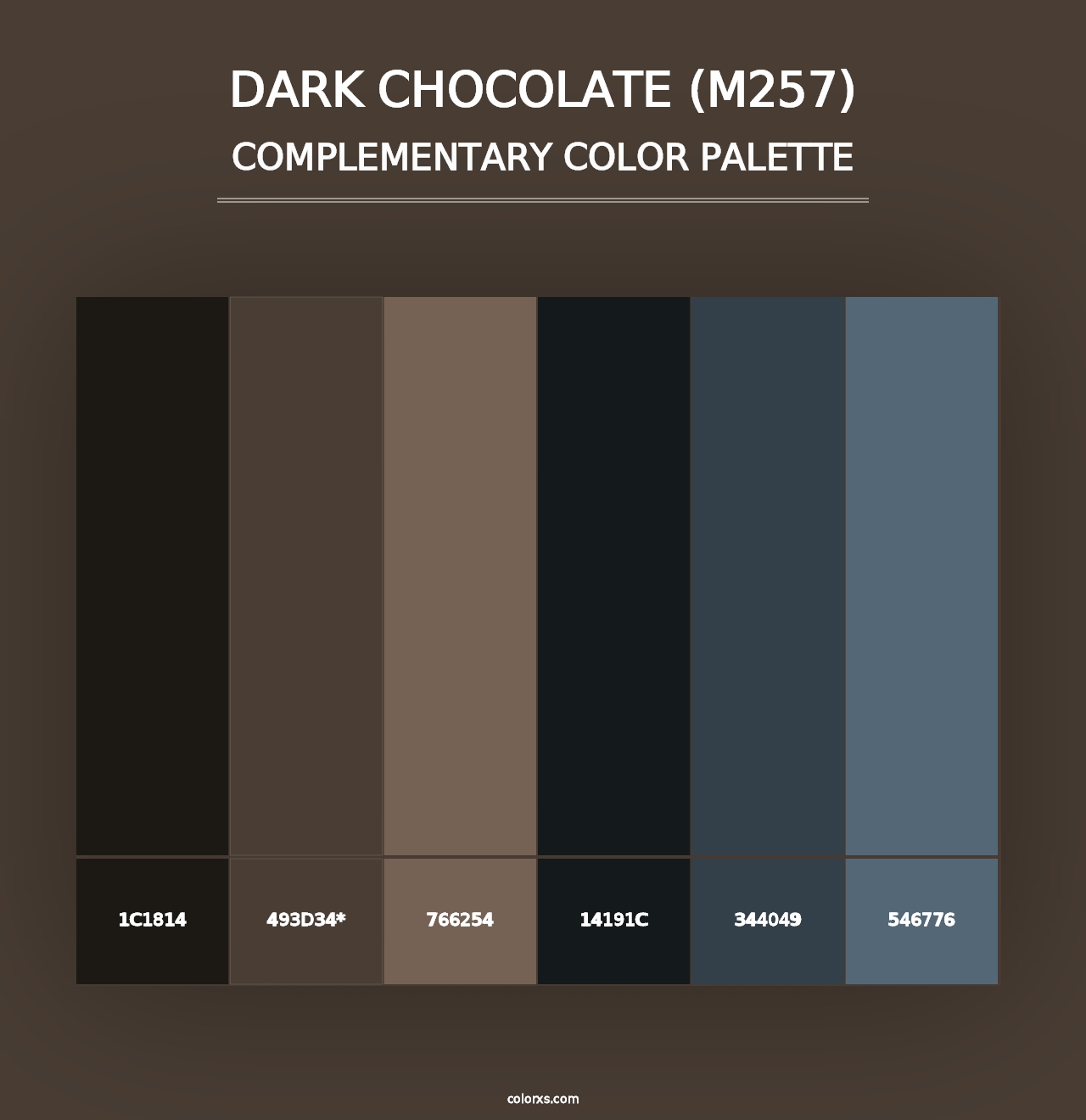 Dark Chocolate (M257) - Complementary Color Palette