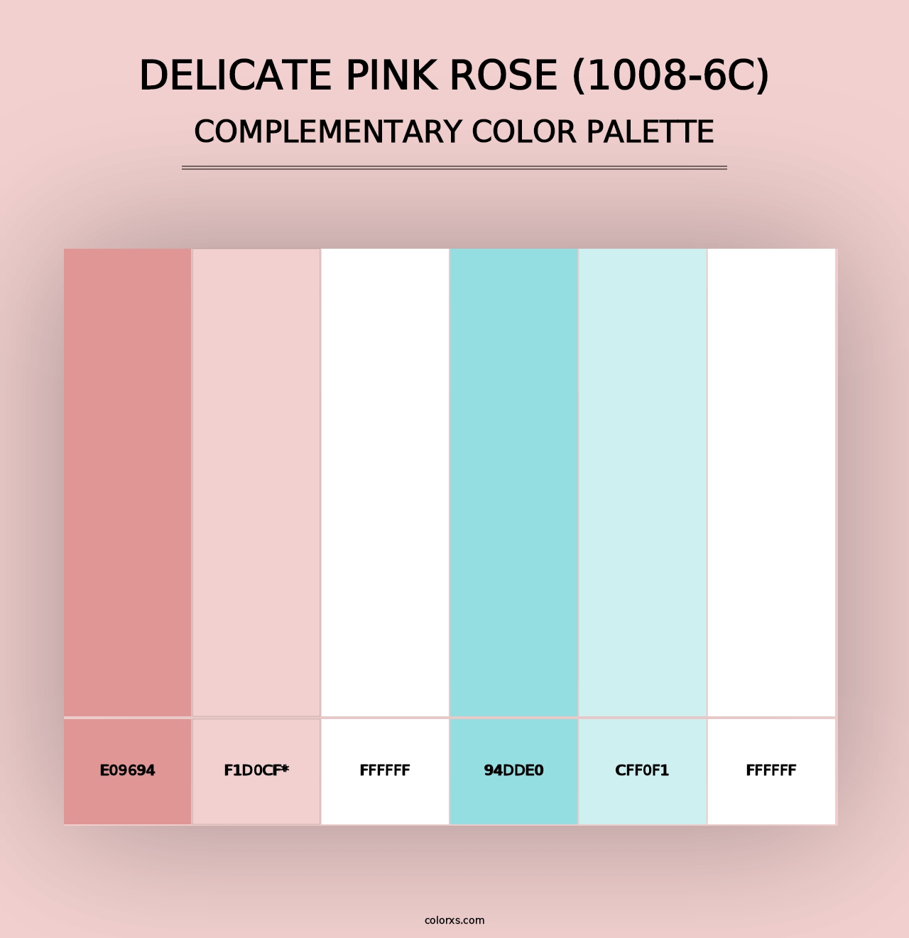 Delicate Pink Rose (1008-6C) - Complementary Color Palette