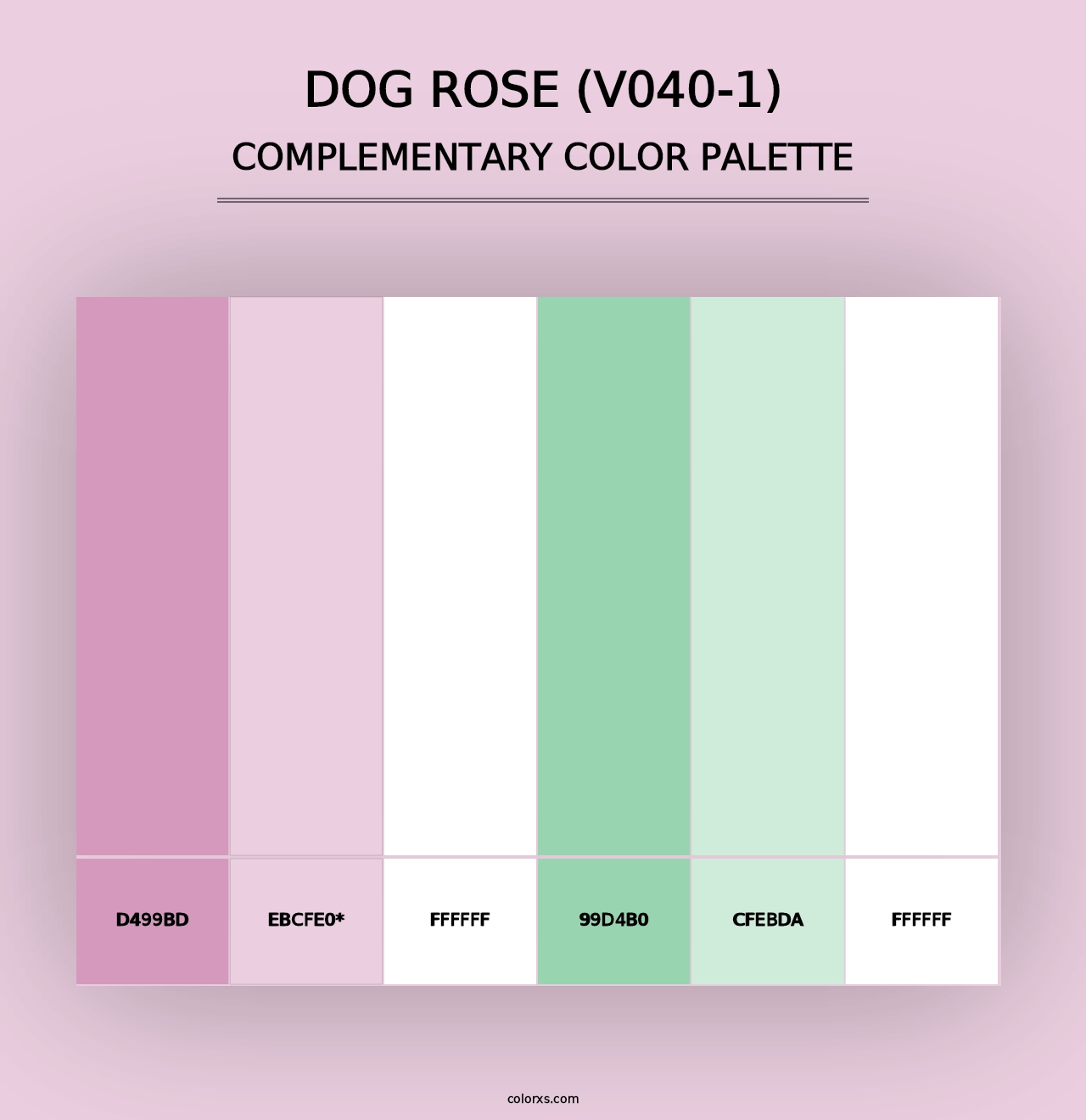 Dog Rose (V040-1) - Complementary Color Palette