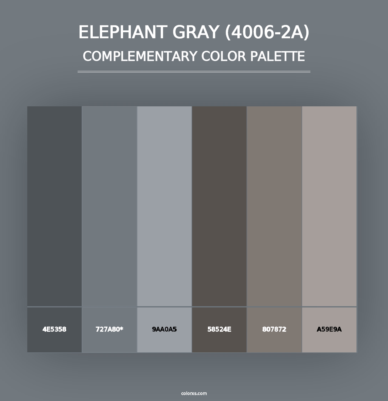 Elephant Gray (4006-2A) - Complementary Color Palette