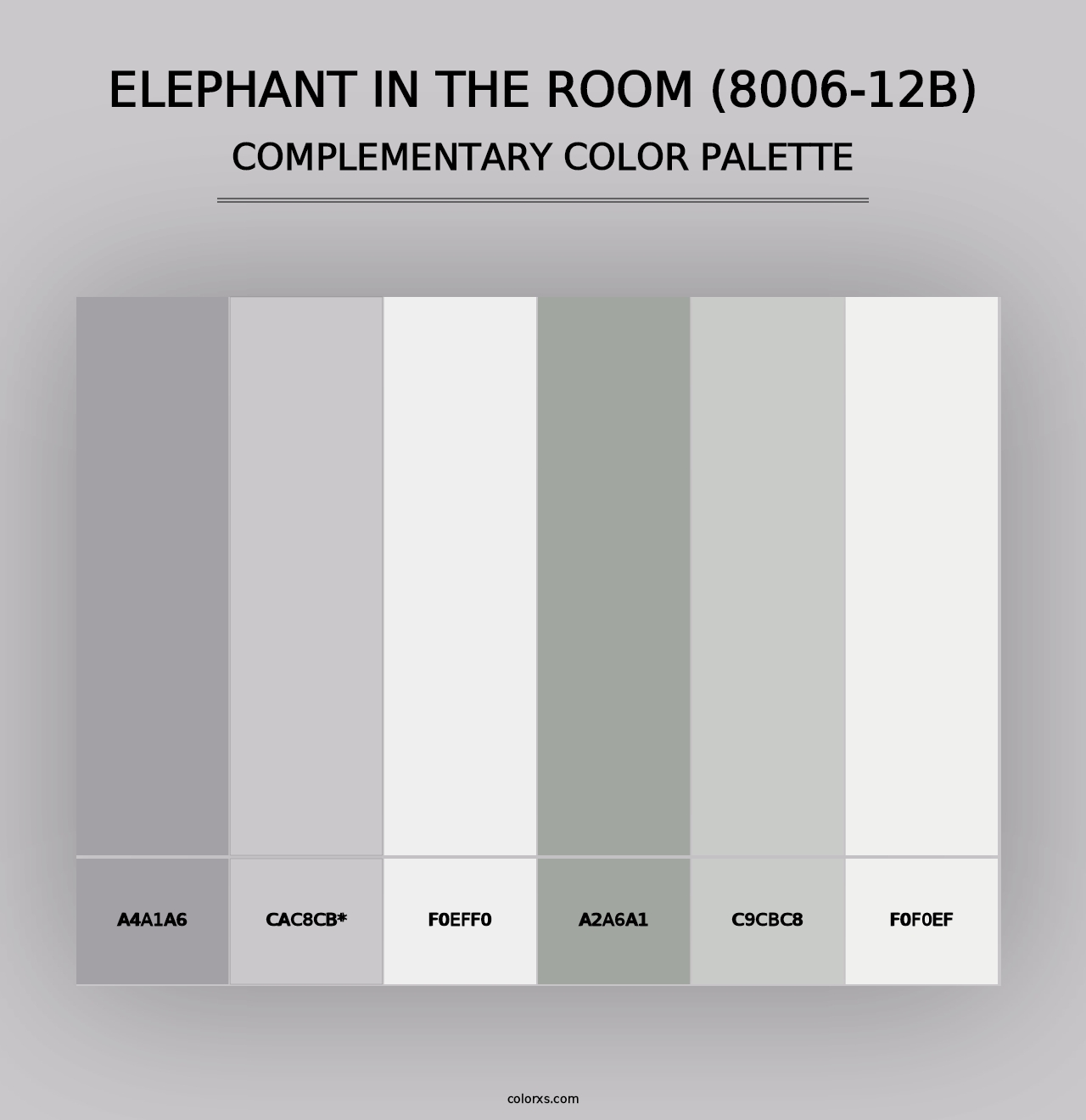 Elephant in the Room (8006-12B) - Complementary Color Palette