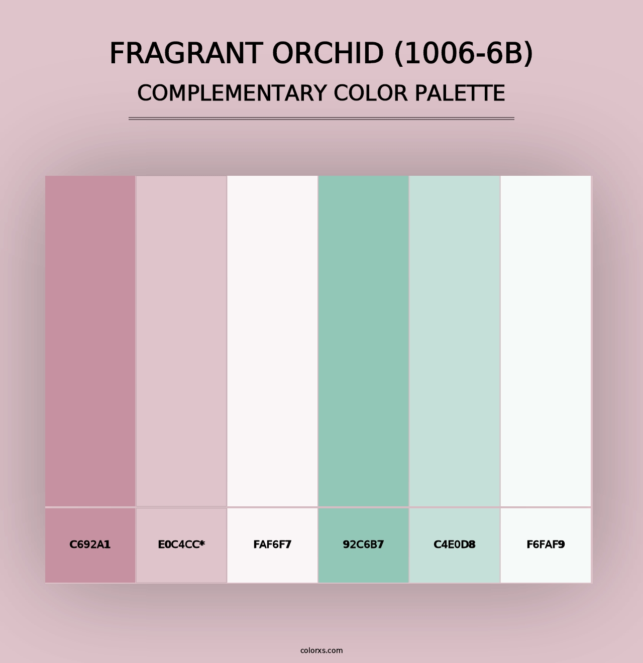 Fragrant Orchid (1006-6B) - Complementary Color Palette