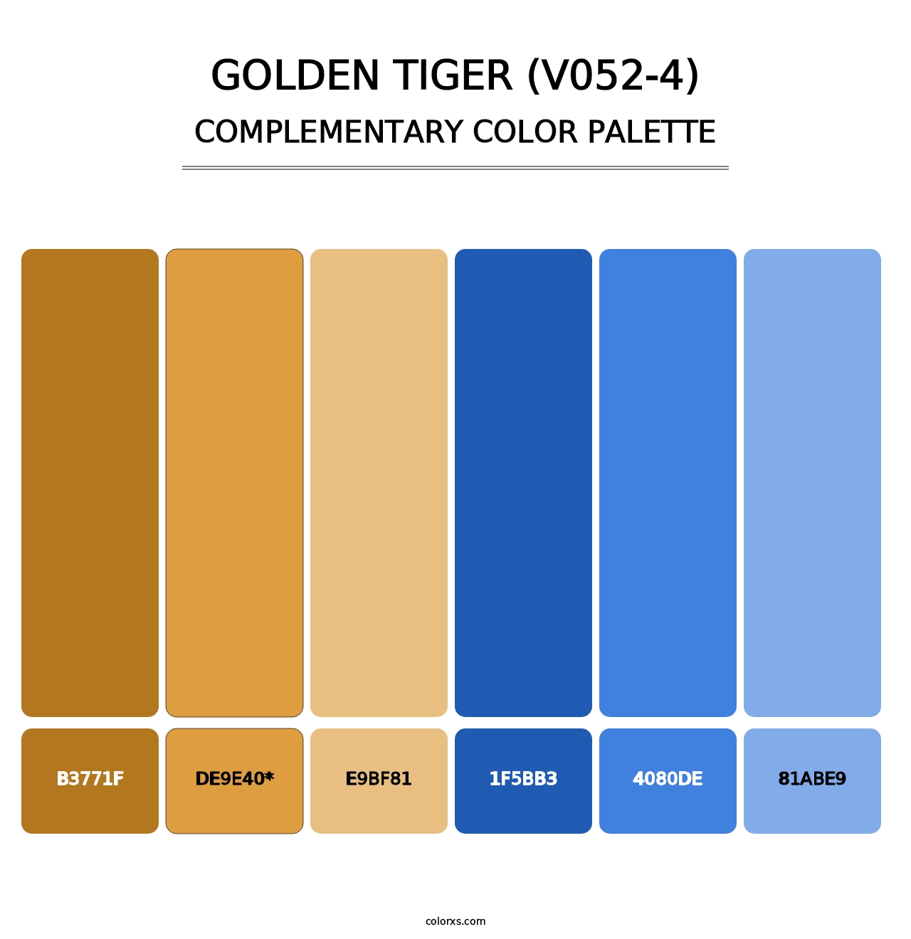 Golden Tiger (V052-4) - Complementary Color Palette