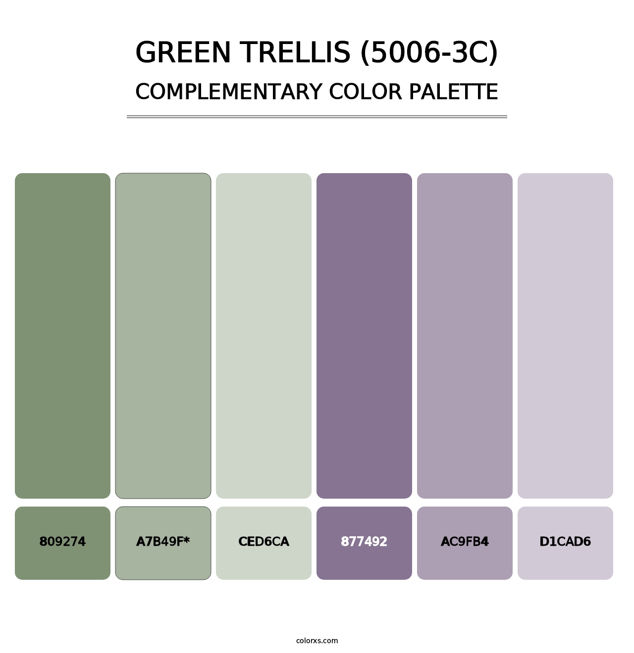 Green Trellis (5006-3C) - Complementary Color Palette