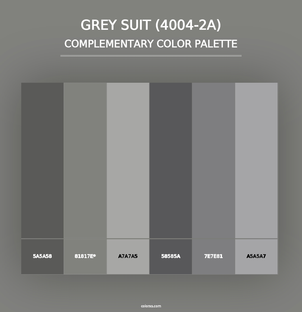 Grey Suit (4004-2A) - Complementary Color Palette