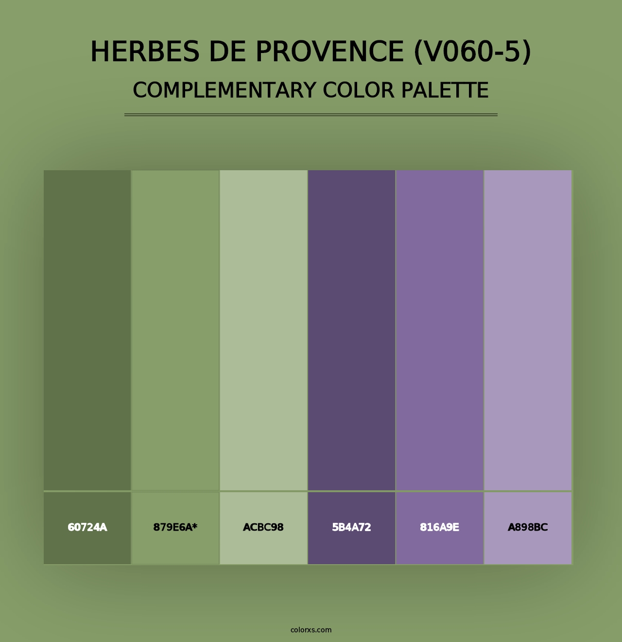 Herbes de Provence (V060-5) - Complementary Color Palette