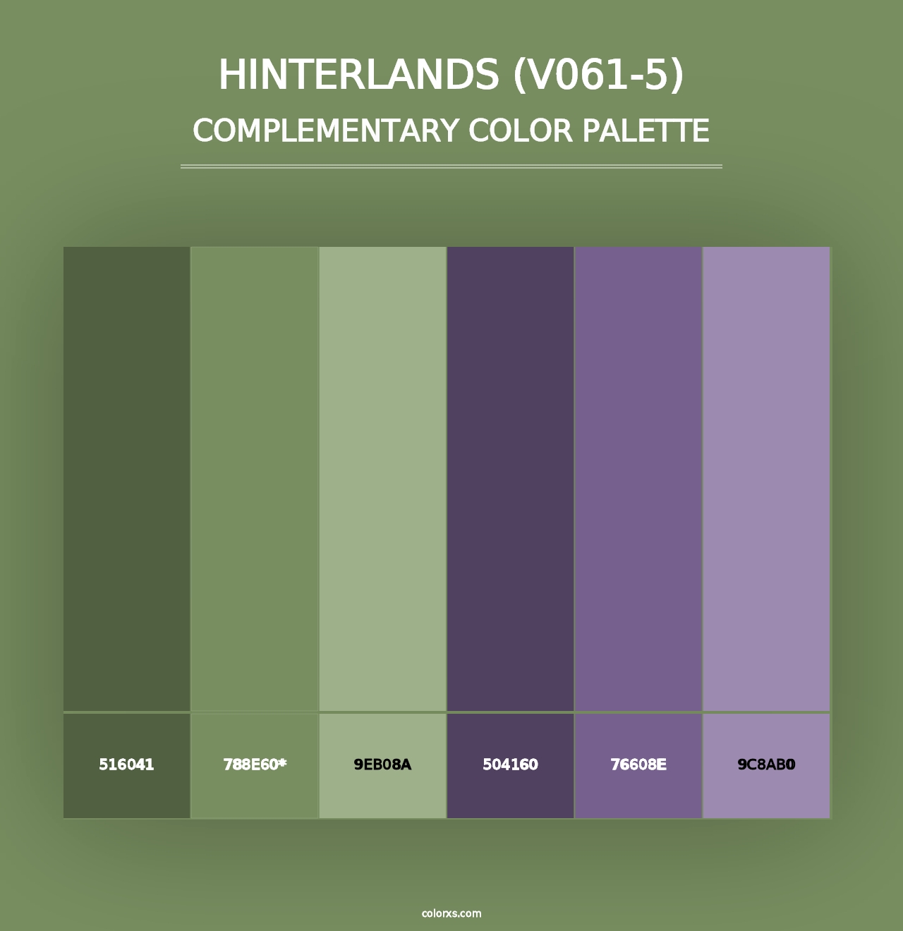 Hinterlands (V061-5) - Complementary Color Palette