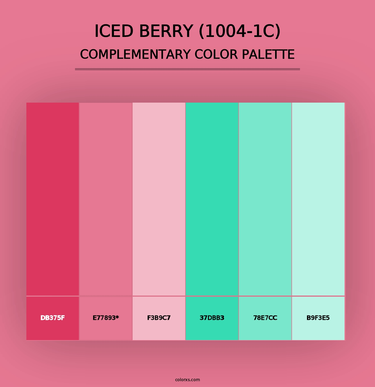 Iced Berry (1004-1C) - Complementary Color Palette