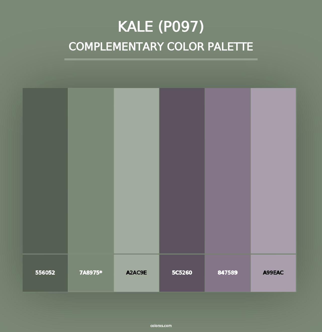 Kale (P097) - Complementary Color Palette