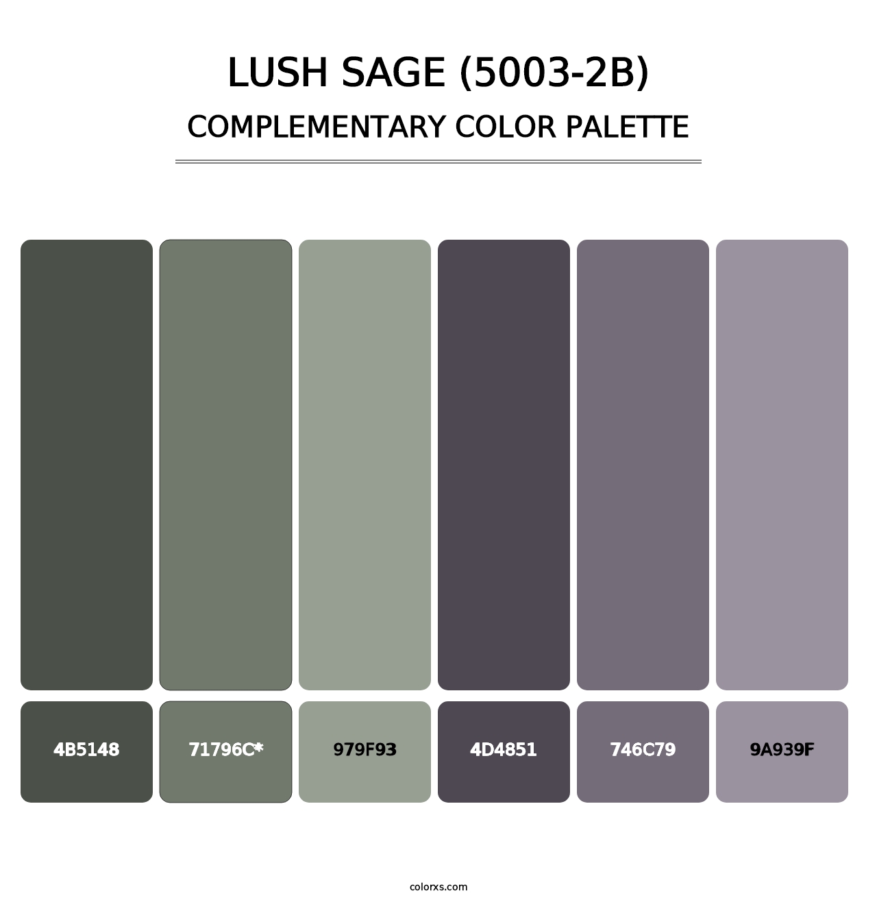 Lush Sage (5003-2B) - Complementary Color Palette