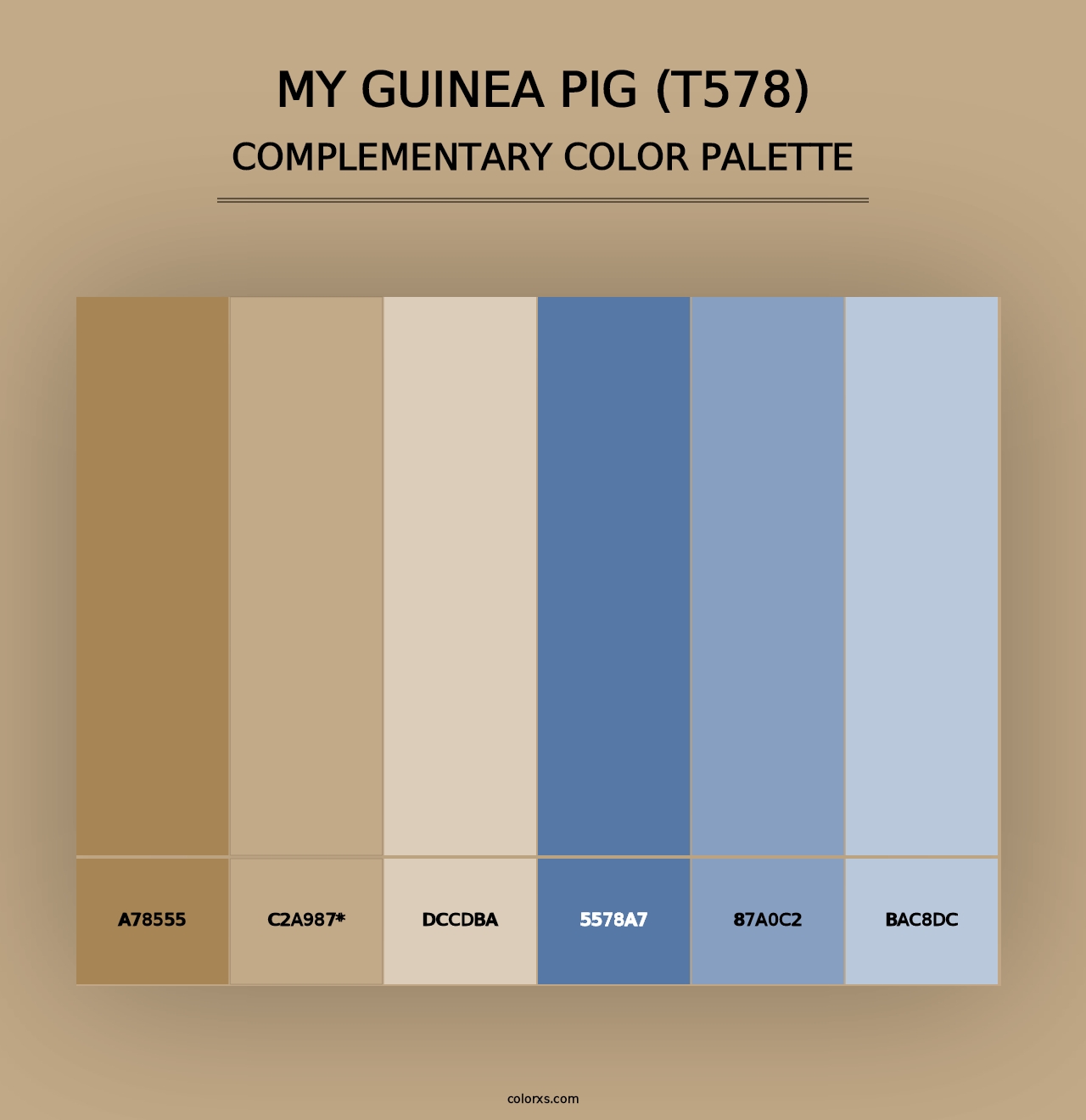 My Guinea Pig (T578) - Complementary Color Palette