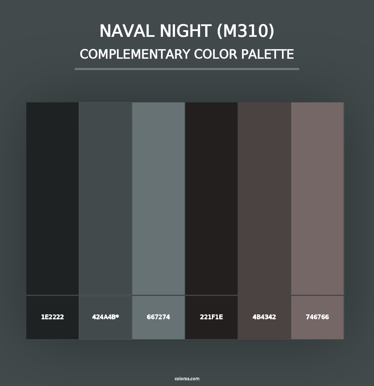 Naval Night (M310) - Complementary Color Palette