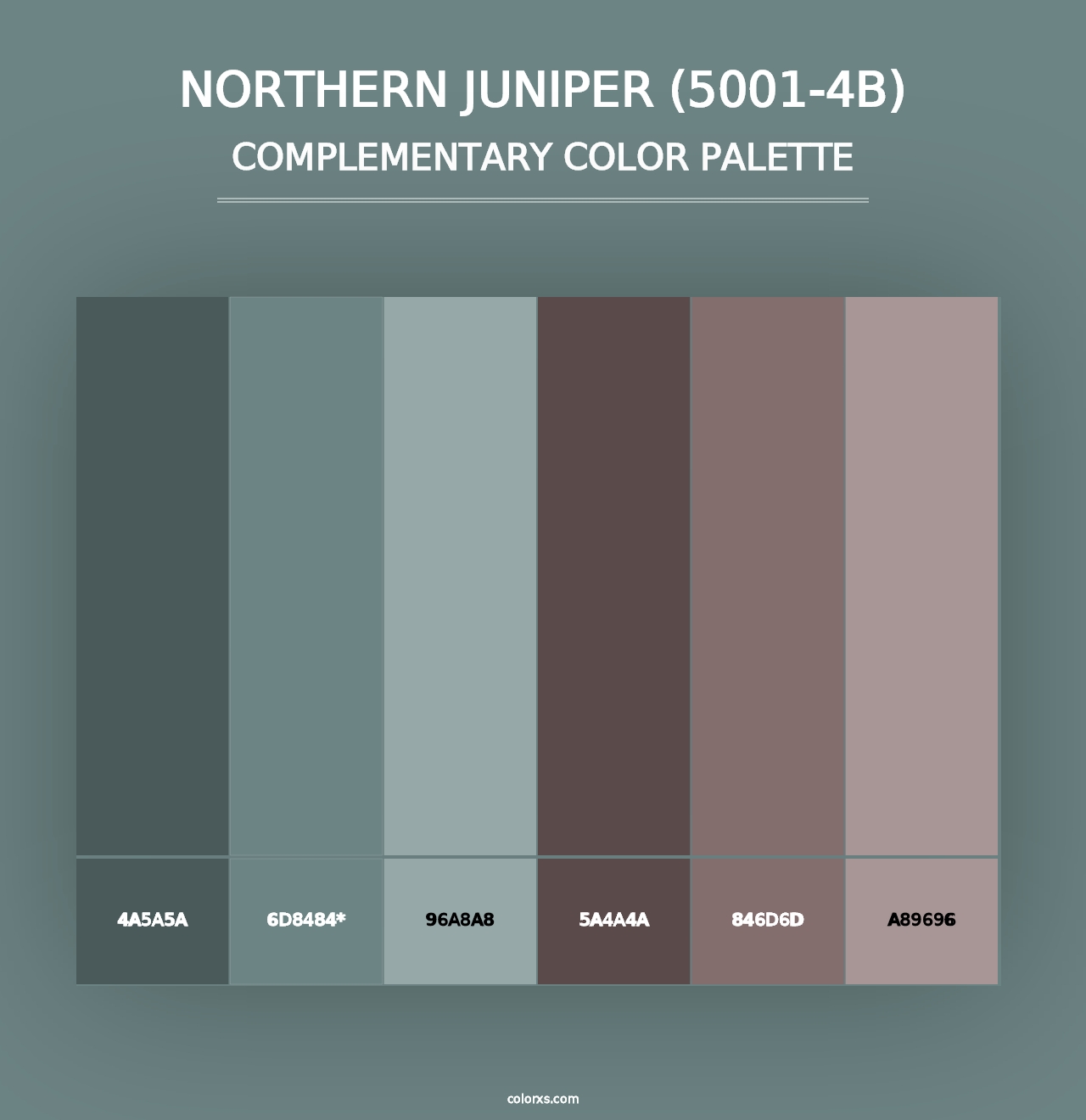 Northern Juniper (5001-4B) - Complementary Color Palette