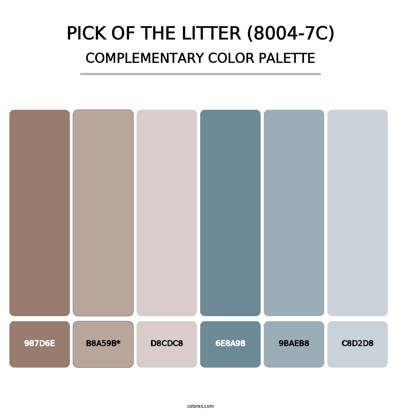 Pick of the Litter (8004-7C) - Complementary Color Palette