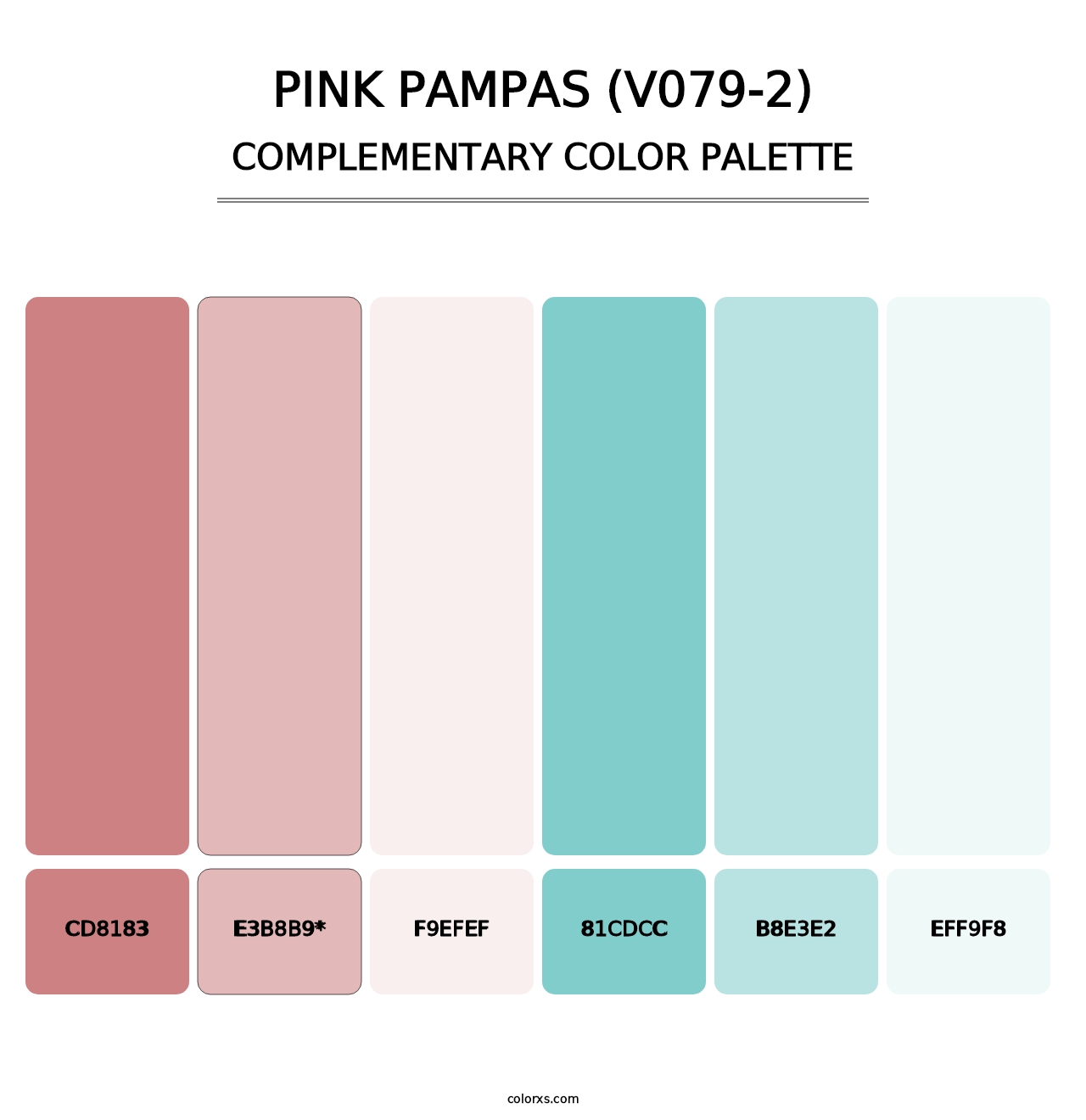 Pink Pampas (V079-2) - Complementary Color Palette