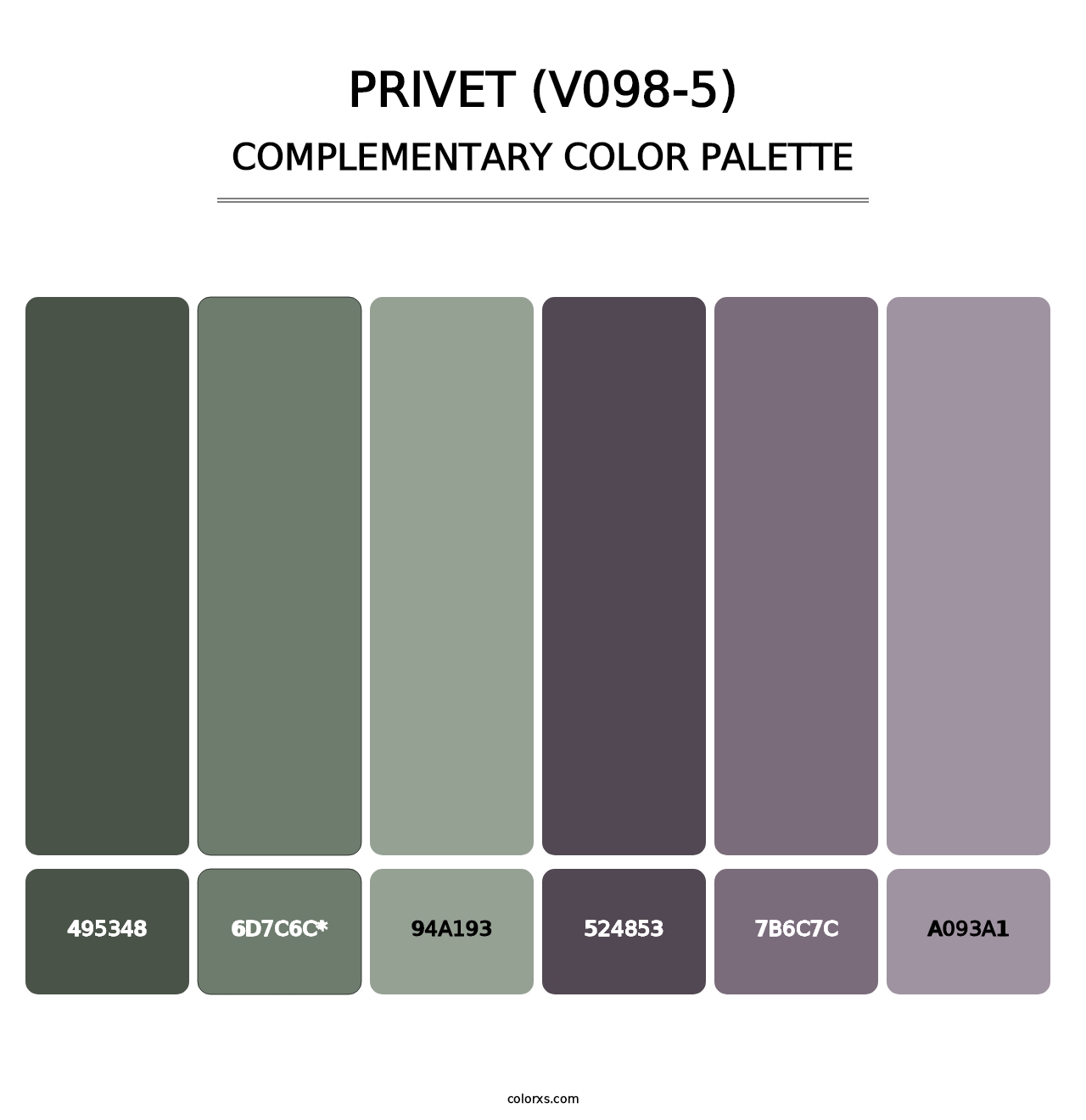 Privet (V098-5) - Complementary Color Palette