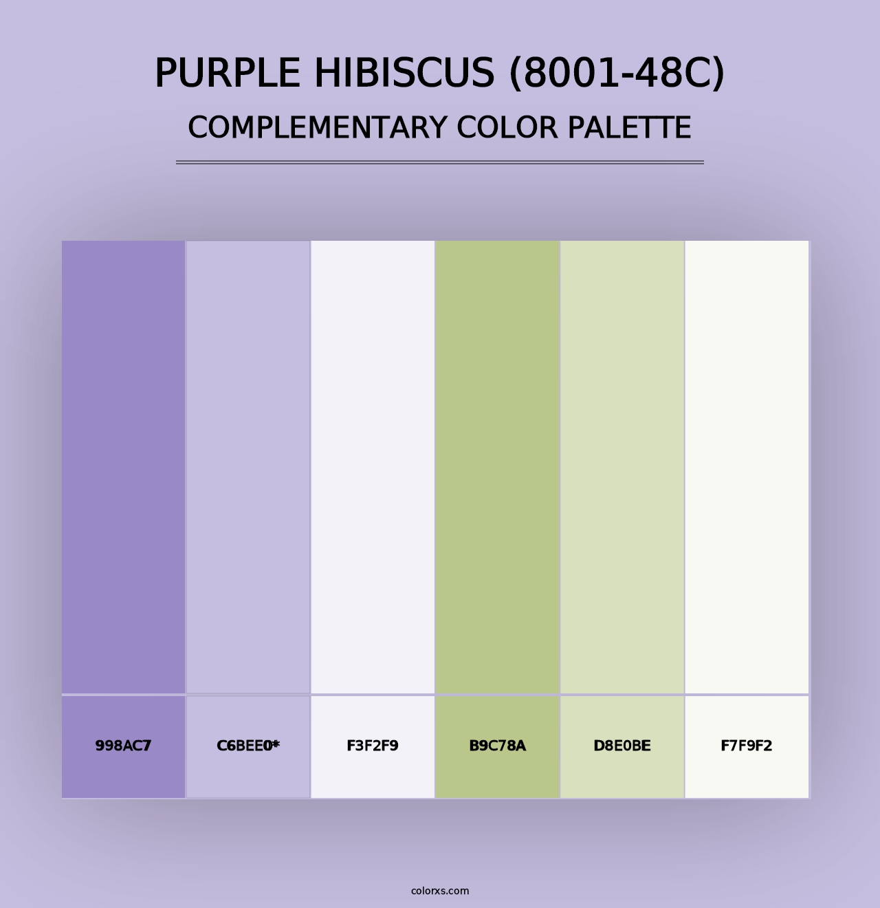 Purple Hibiscus (8001-48C) - Complementary Color Palette