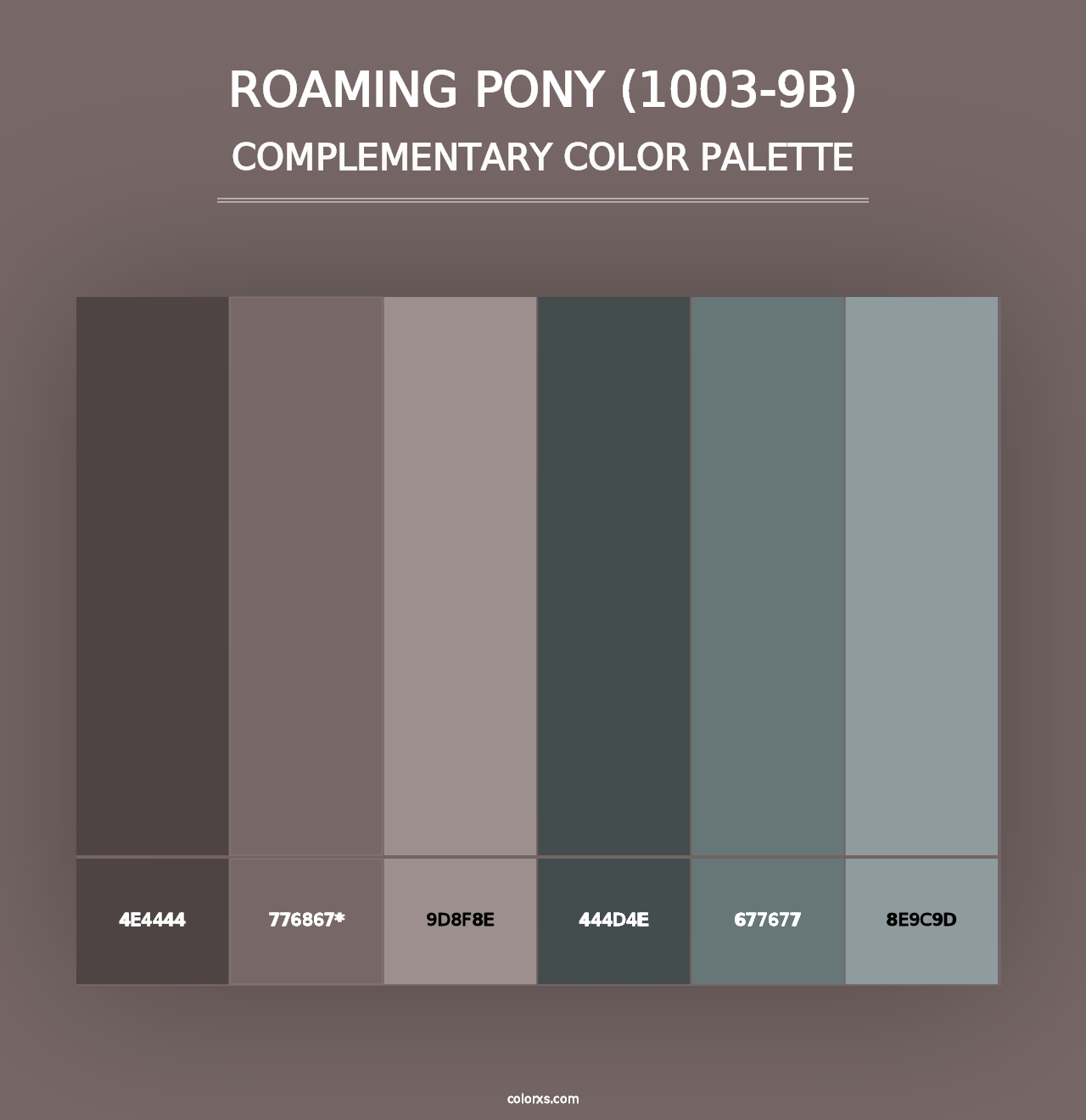 Roaming Pony (1003-9B) - Complementary Color Palette