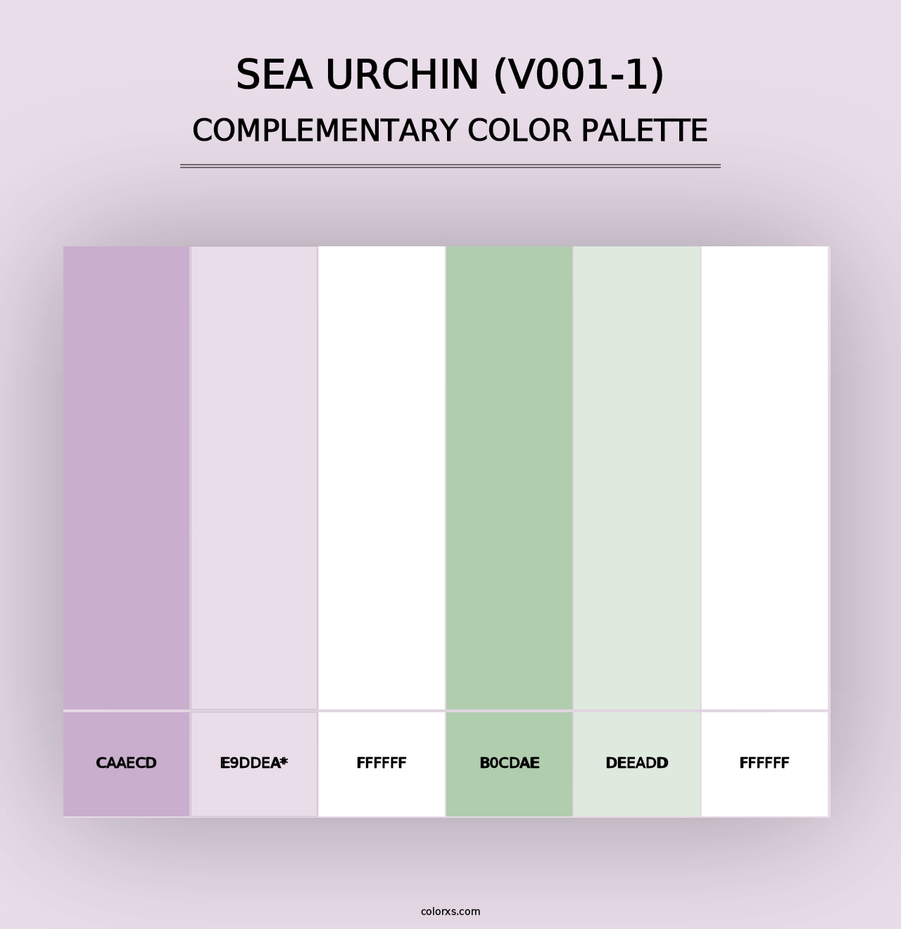 Sea Urchin (V001-1) - Complementary Color Palette