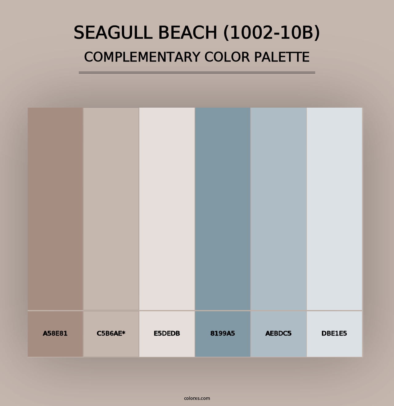 Seagull Beach (1002-10B) - Complementary Color Palette