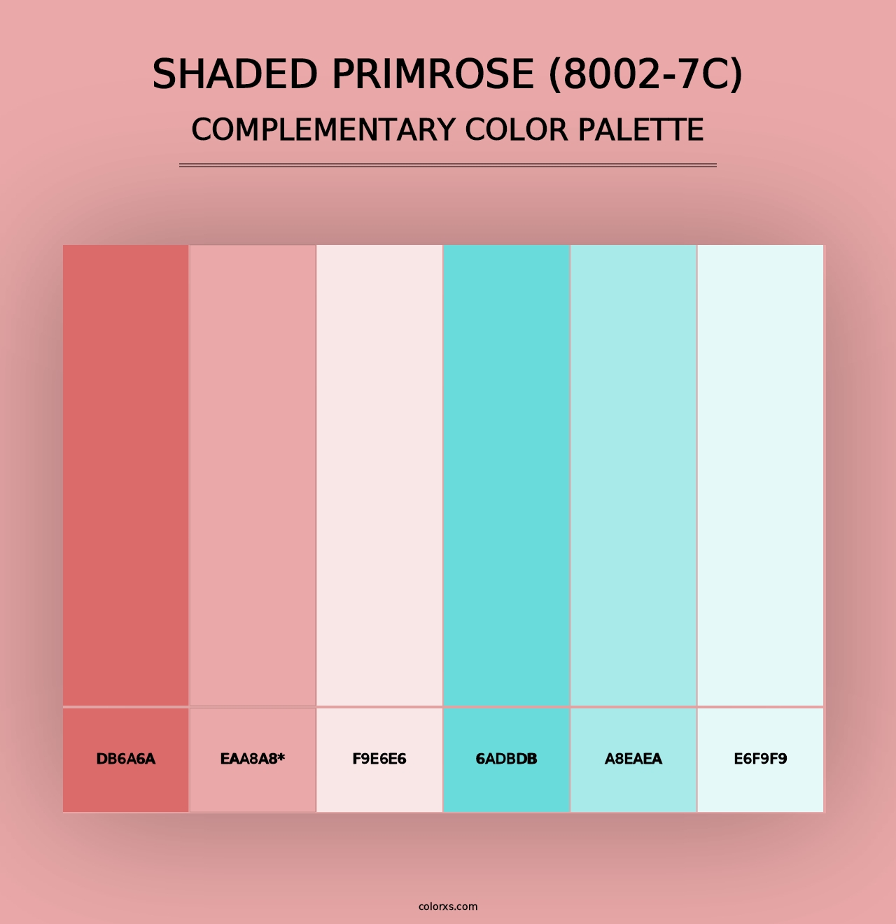 Shaded Primrose (8002-7C) - Complementary Color Palette