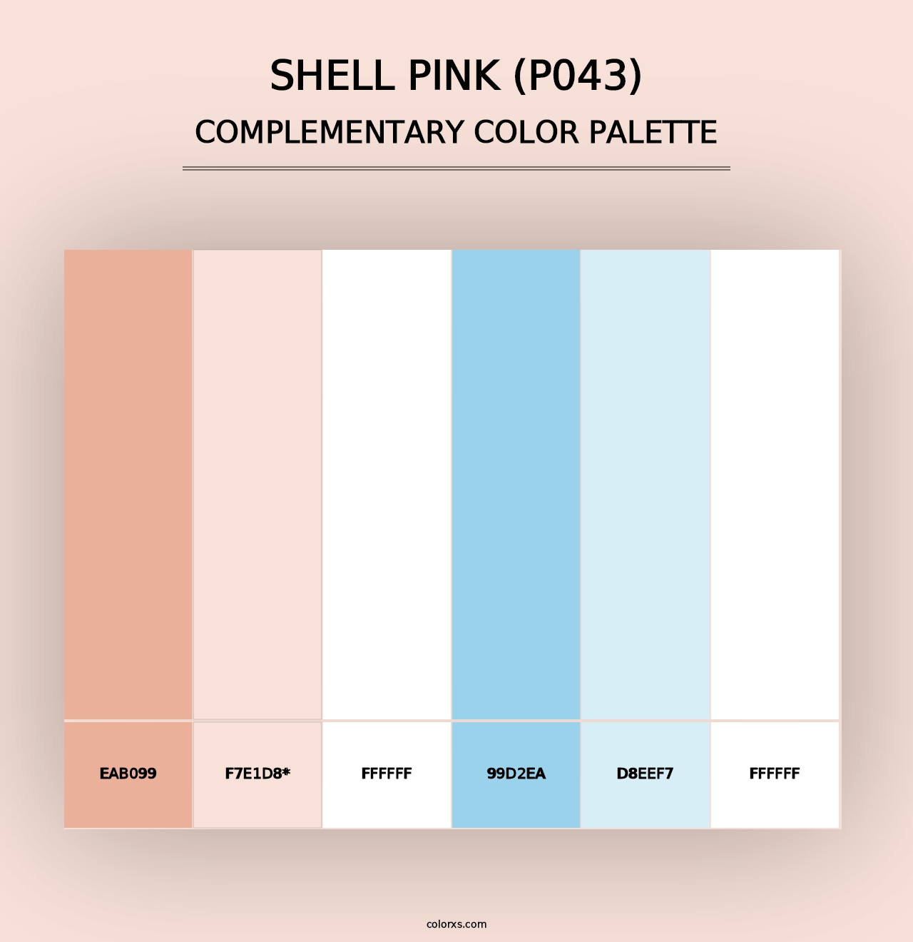 Shell Pink (P043) - Complementary Color Palette