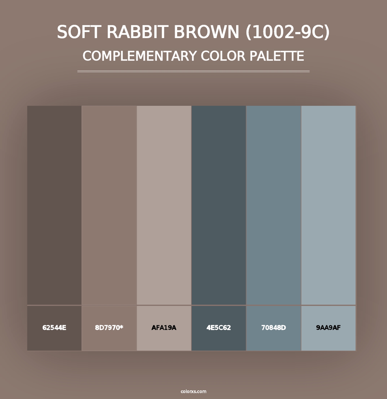 Soft Rabbit Brown (1002-9C) - Complementary Color Palette