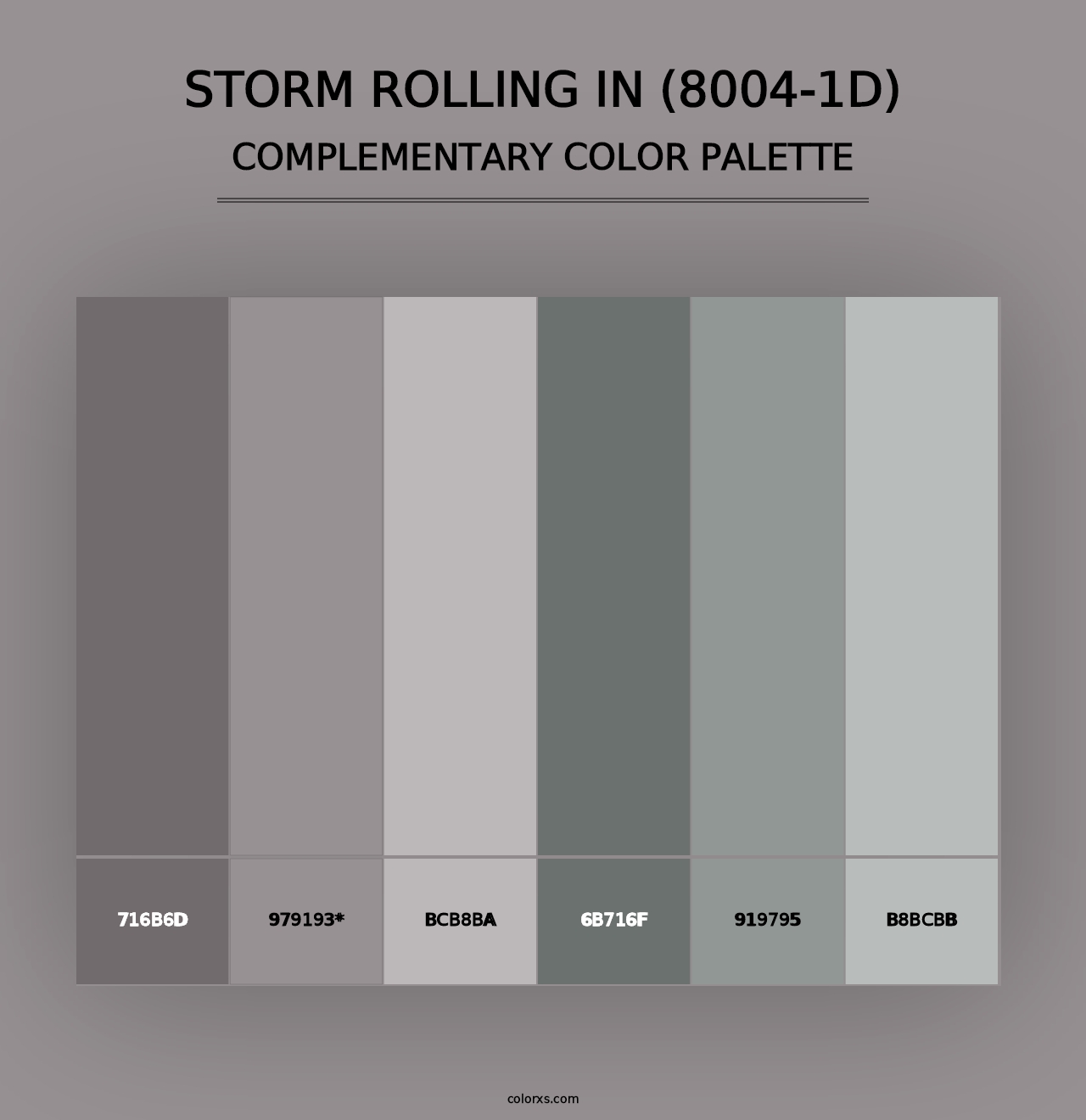 Storm Rolling In (8004-1D) - Complementary Color Palette