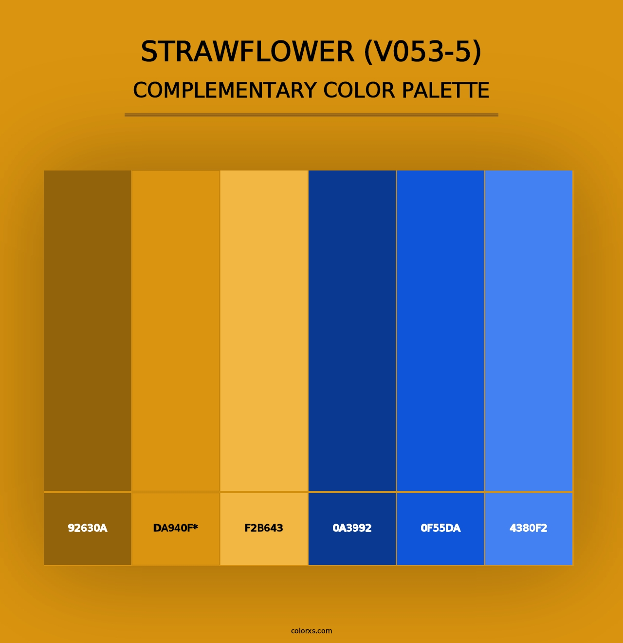 Strawflower (V053-5) - Complementary Color Palette