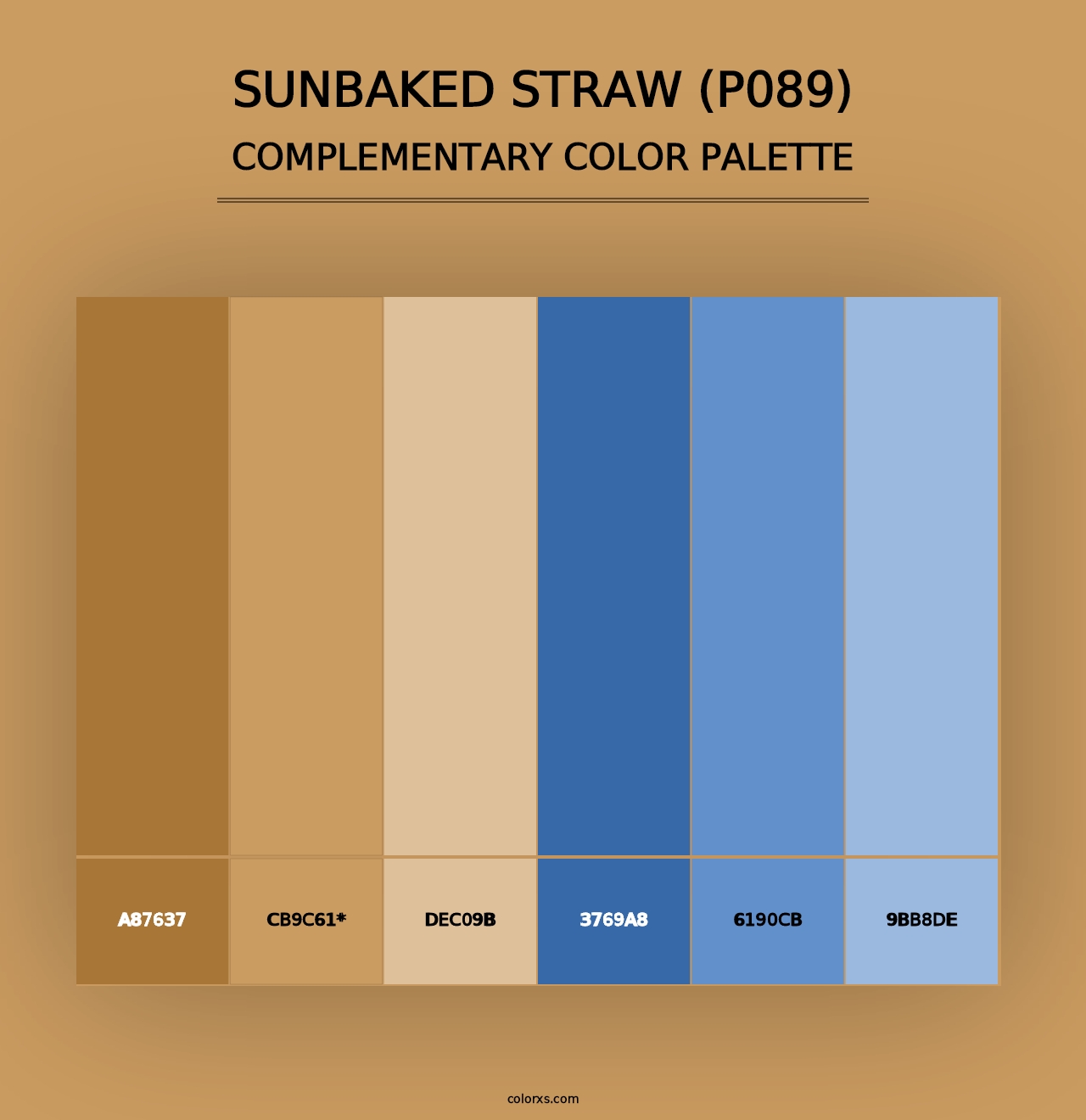 Sunbaked Straw (P089) - Complementary Color Palette