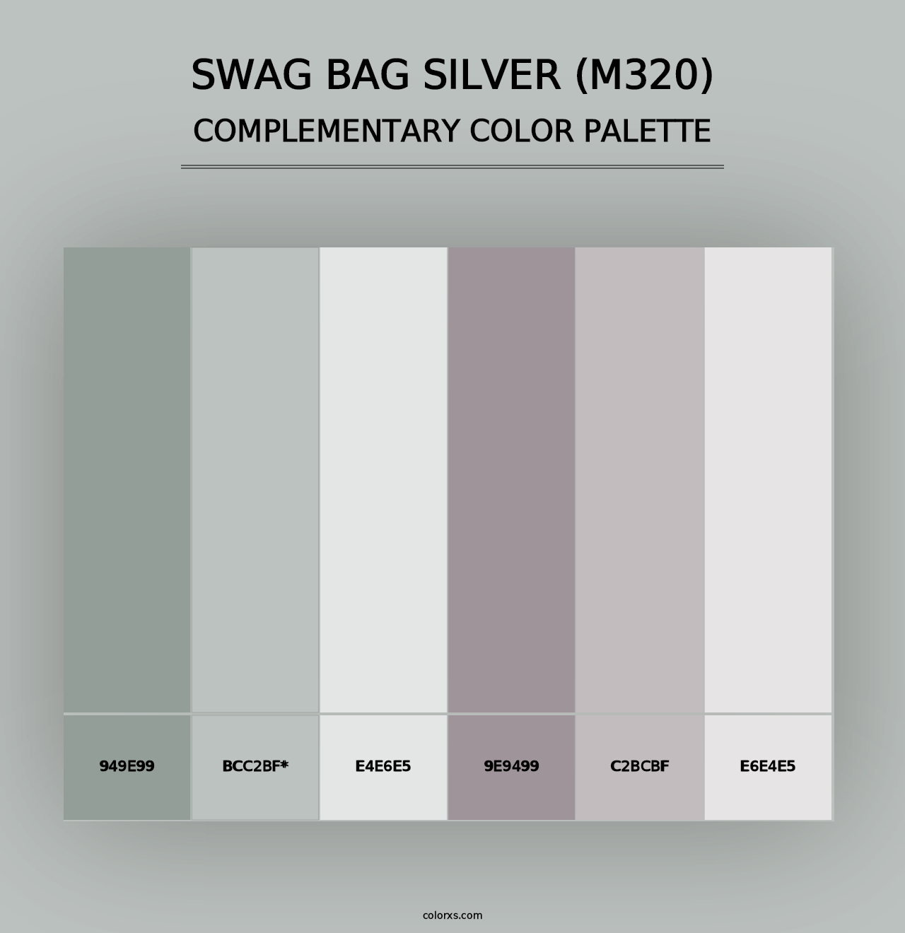 Swag Bag Silver (M320) - Complementary Color Palette