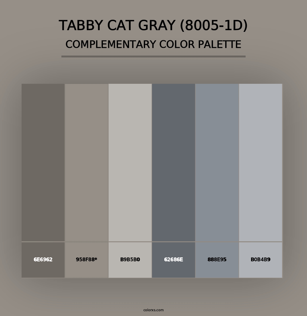 Tabby Cat Gray (8005-1D) - Complementary Color Palette