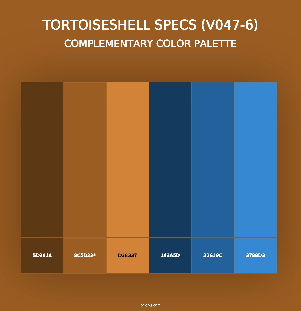 Tortoiseshell Specs (V047-6) - Complementary Color Palette