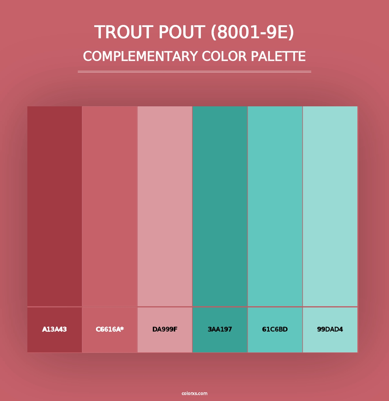 Trout Pout (8001-9E) - Complementary Color Palette