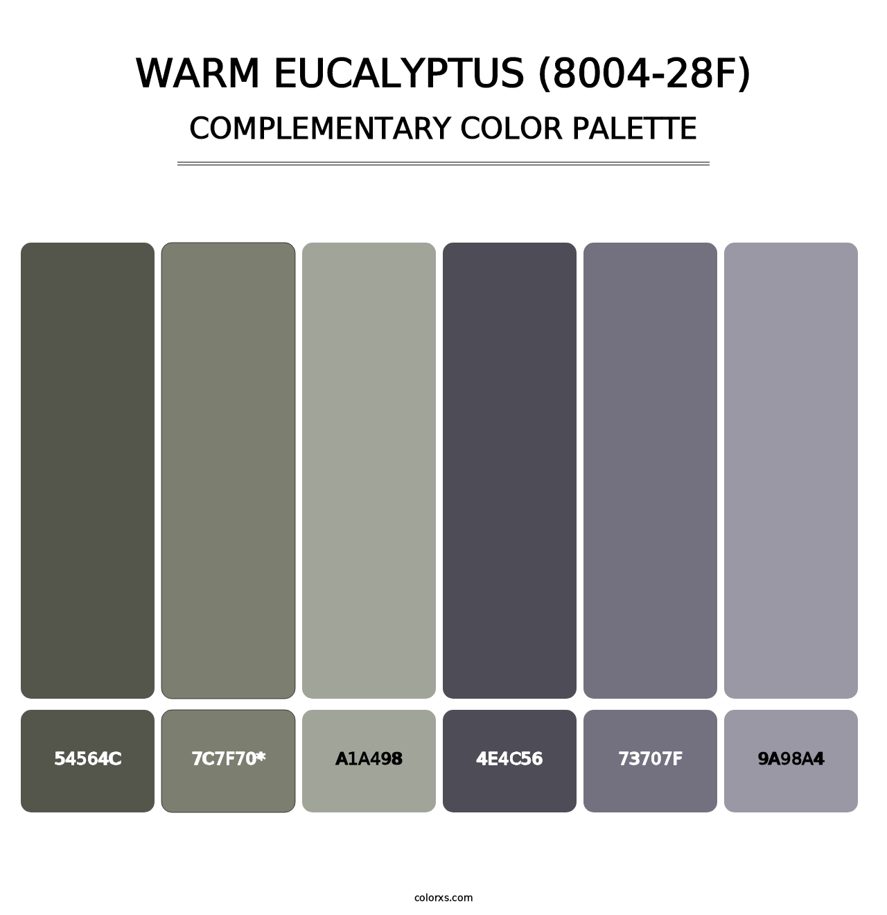 Warm Eucalyptus (8004-28F) - Complementary Color Palette