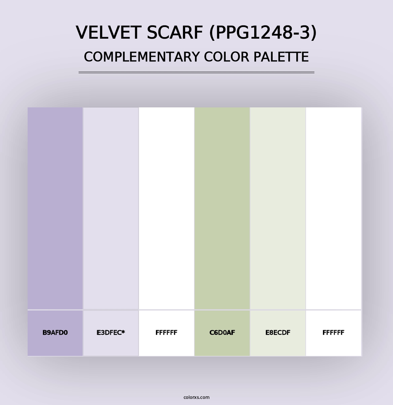 Velvet Scarf (PPG1248-3) - Complementary Color Palette