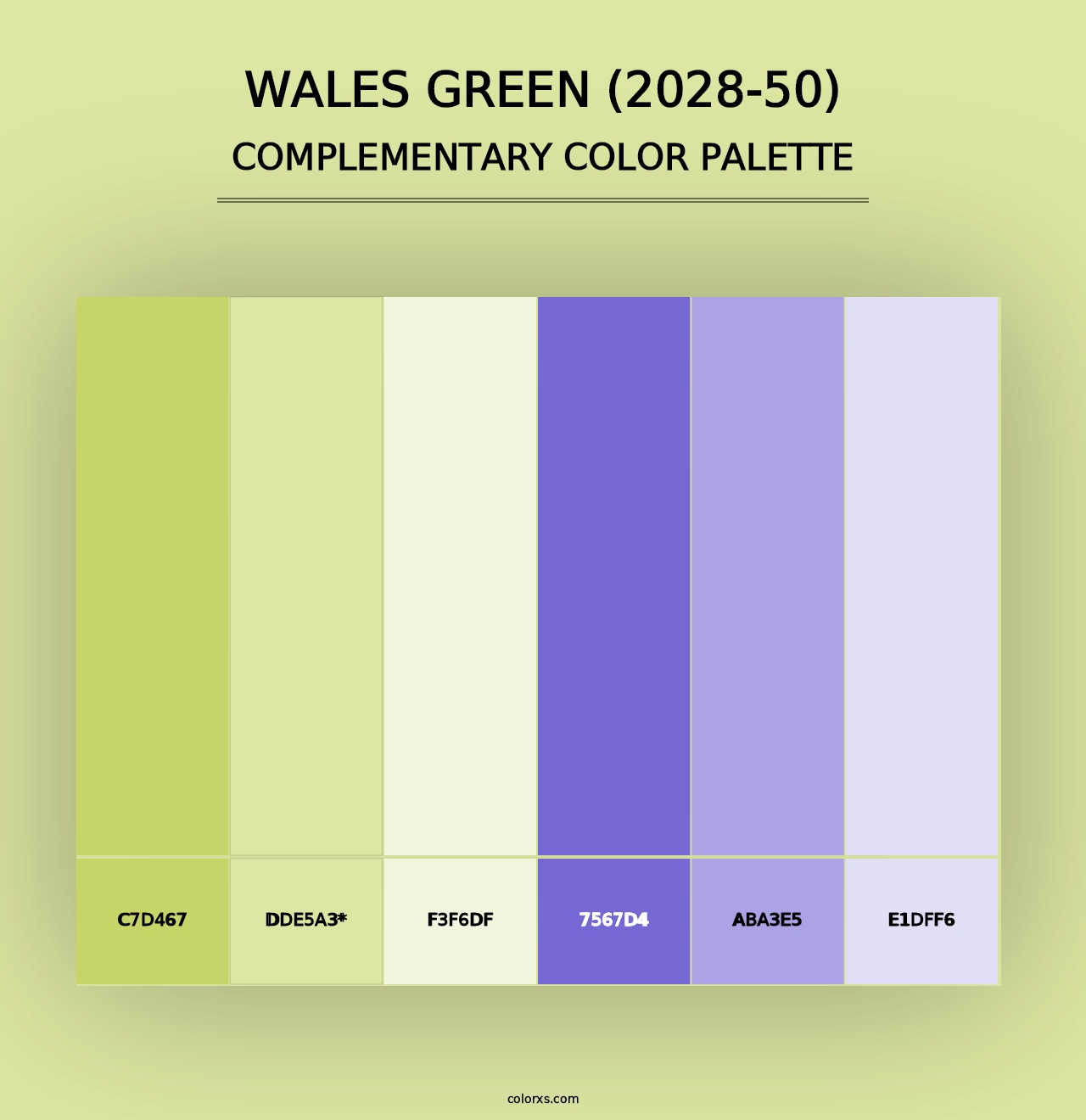 Wales Green (2028-50) - Complementary Color Palette