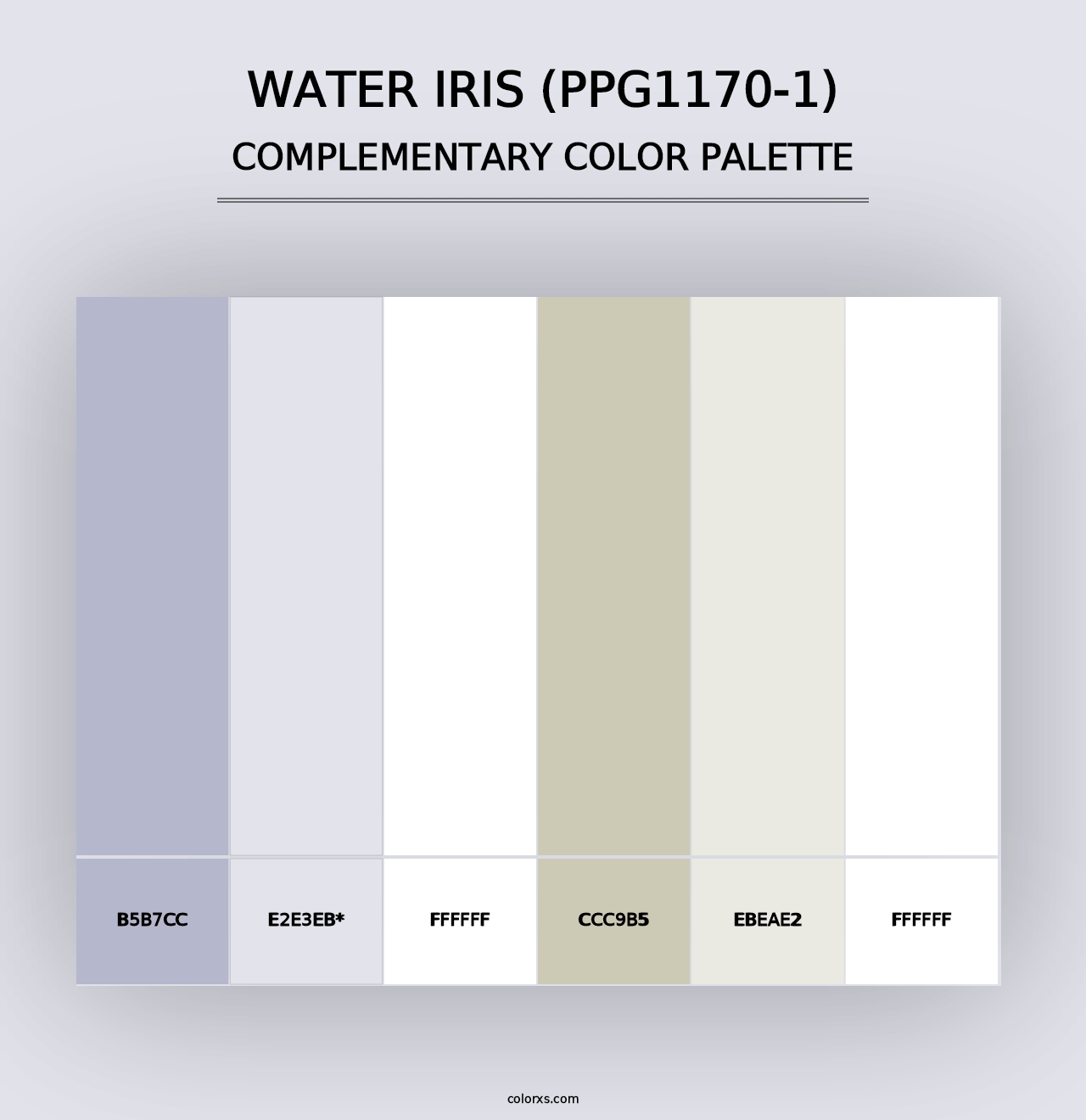 Water Iris (PPG1170-1) - Complementary Color Palette