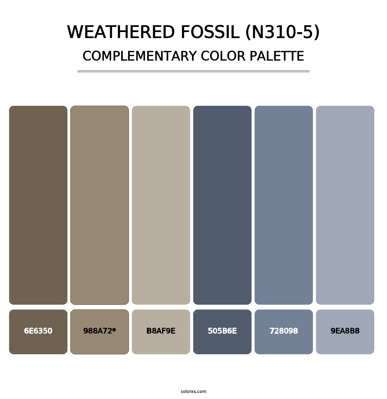 Weathered Fossil (N310-5) - Complementary Color Palette