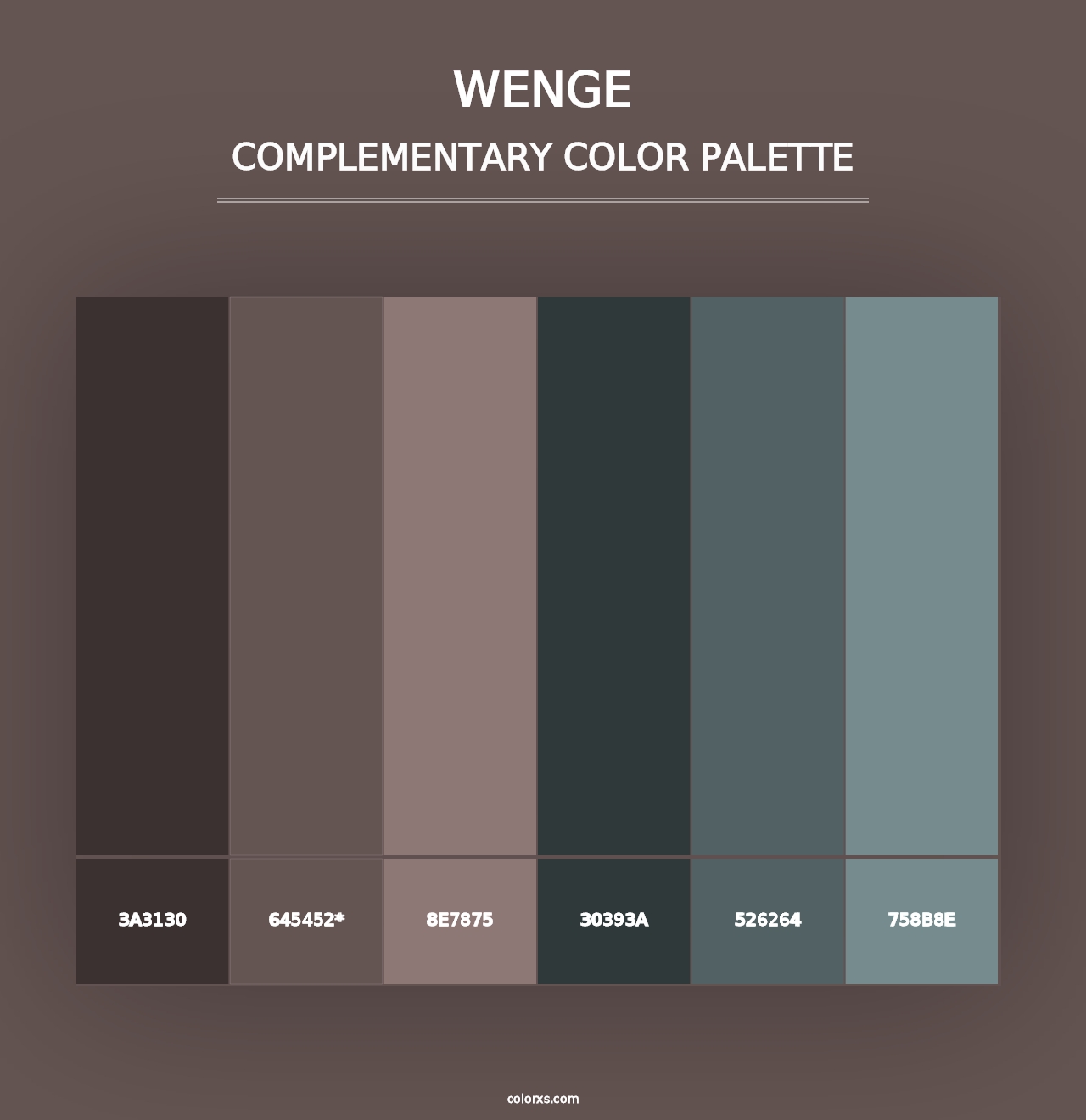 Wenge - Complementary Color Palette