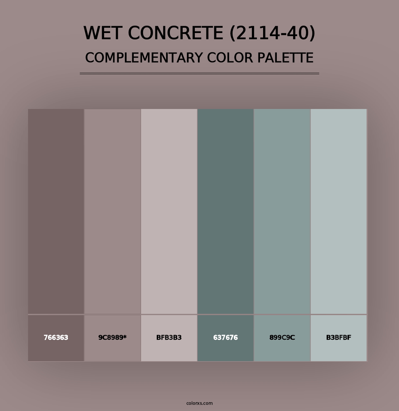 Wet Concrete (2114-40) - Complementary Color Palette