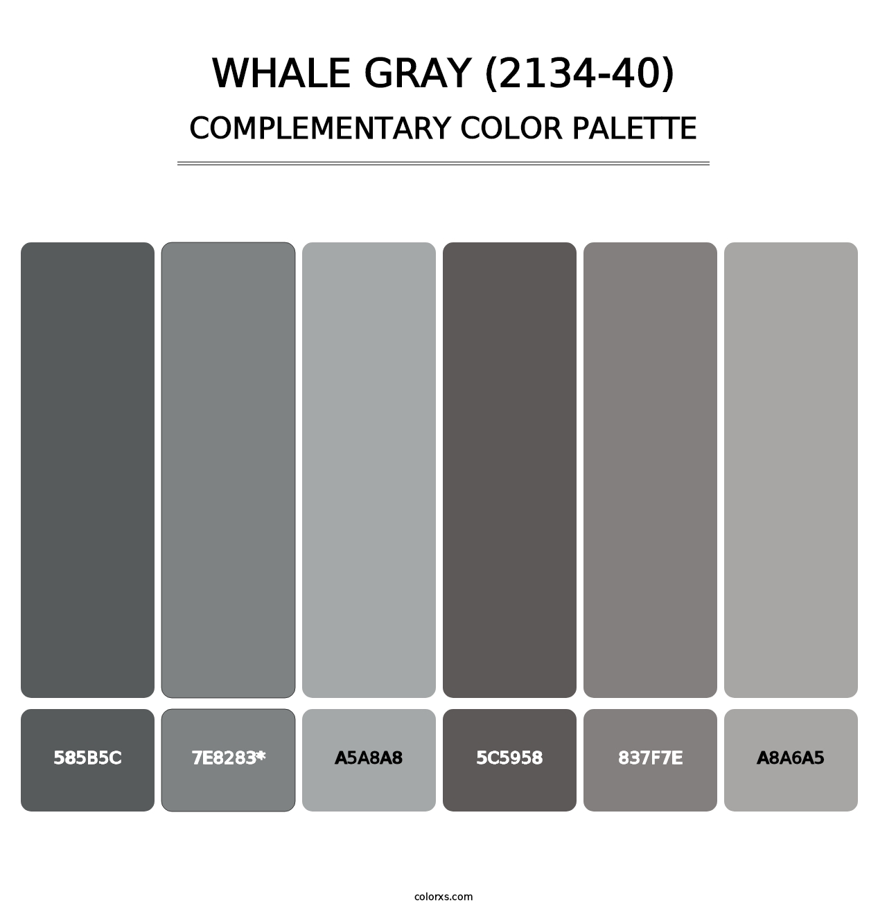 Whale Gray (2134-40) - Complementary Color Palette