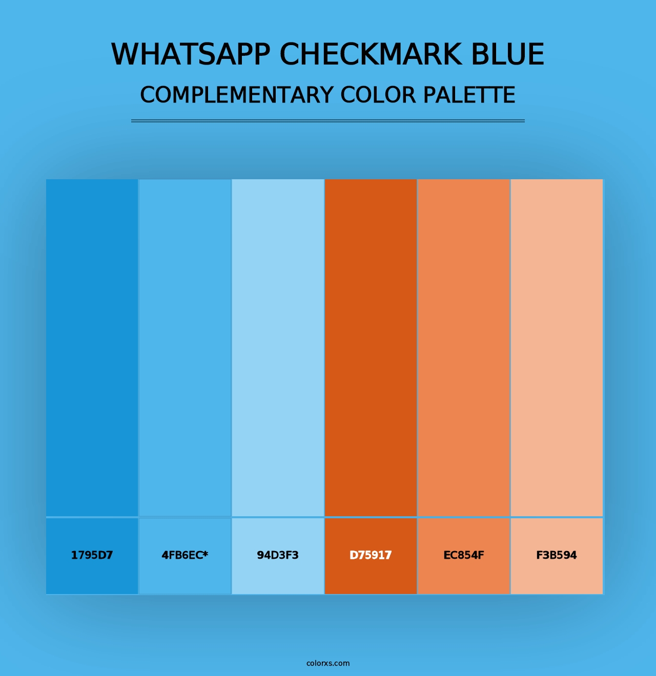 WhatsApp Checkmark Blue - Complementary Color Palette